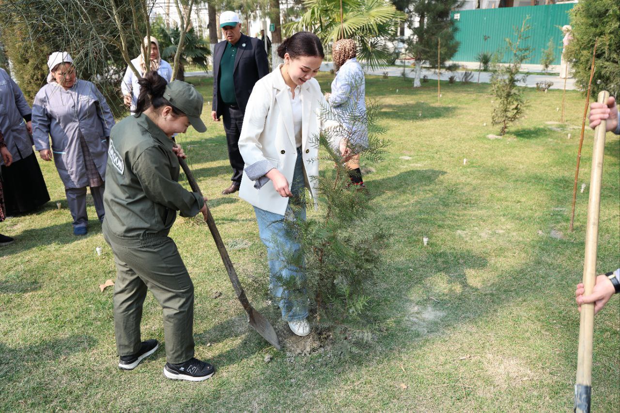 Yashil universitet faoliyati